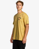 ARCH FADE PREMIUM SS