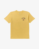 ARCH FADE PREMIUM SS